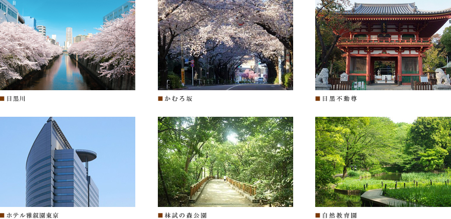 ザ・パークハビオ目黒桜邸：ロケーション01