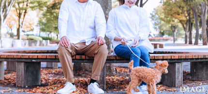 ザ・パークハビオSOHO大手町:魅力:見出し