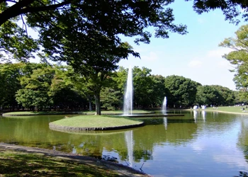 代々木公園